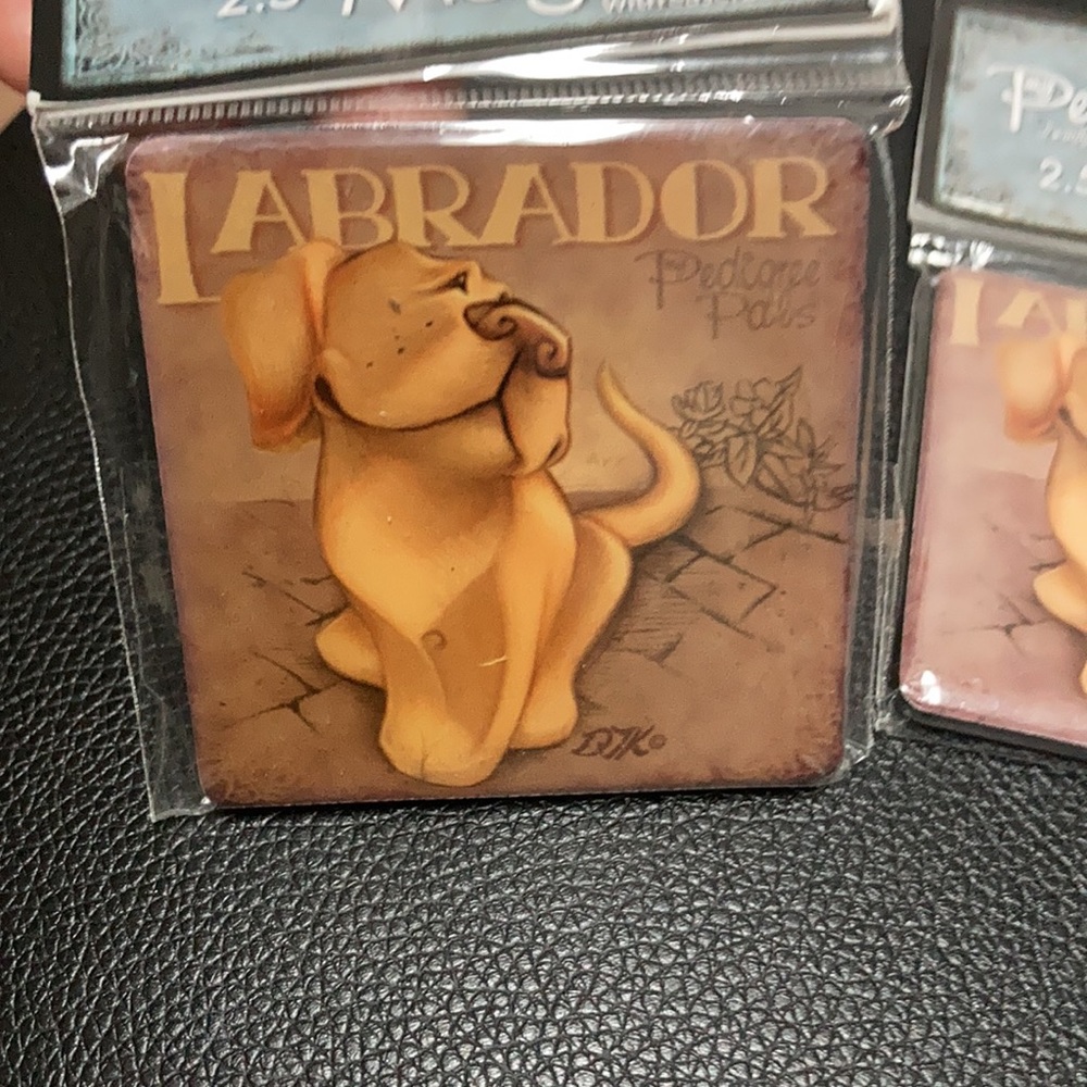 2 Labrador dog magnets 2.5” with easel back - Picture 7 of 10